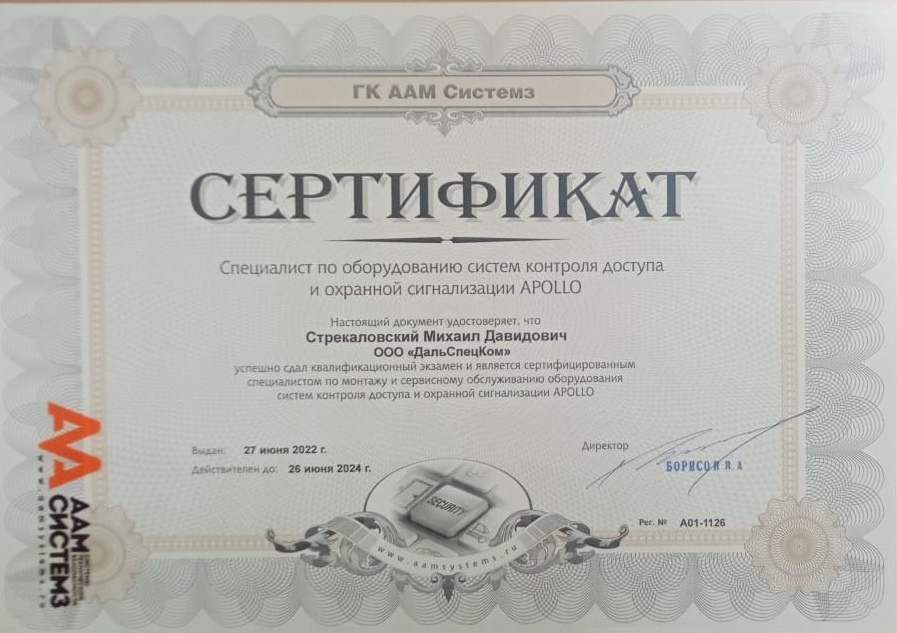Сертификат Стрекаловский.jpg